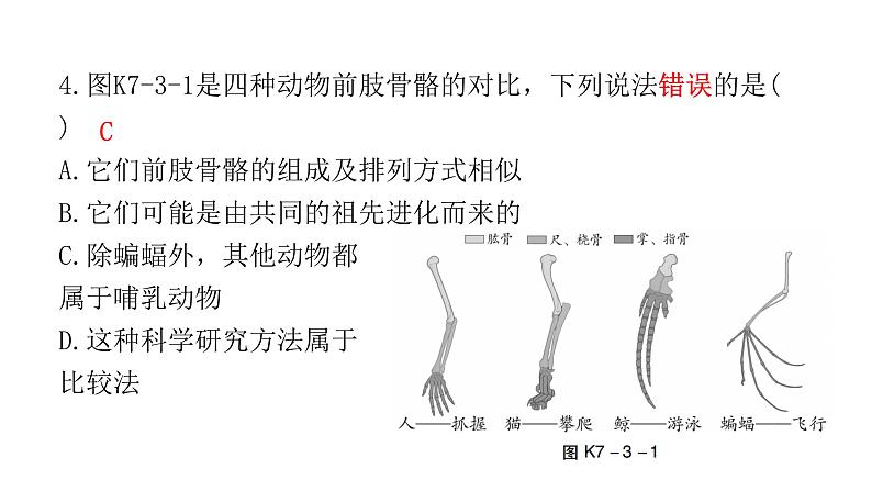 中考生物复习第七单元生物圈中生命的延续和发展第三章生命起源和生物进化课件05