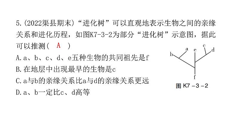 中考生物复习第七单元生物圈中生命的延续和发展第三章生命起源和生物进化课件06