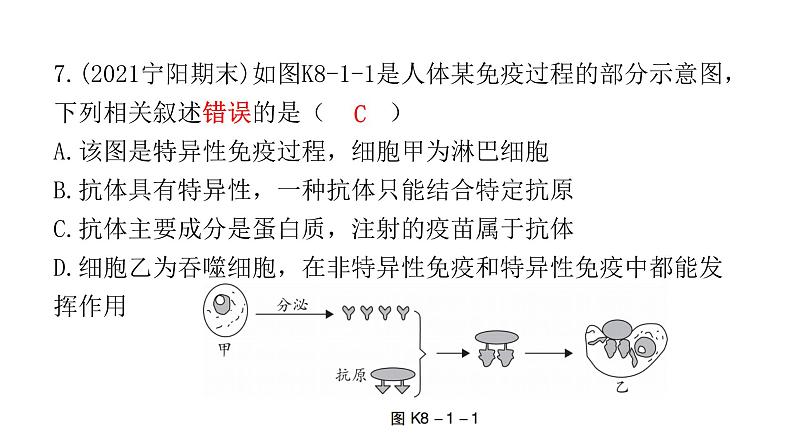 中考生物复习第八单元健康地生活第一章传染病和免疫课件08