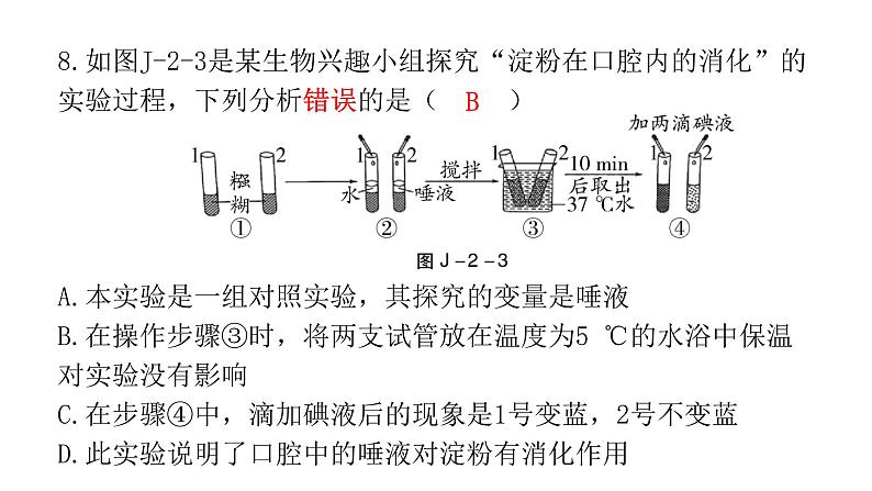 中考生物复习七年级下册综合测试卷课件第8页