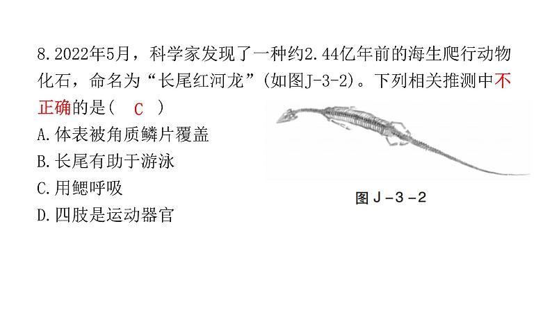 中考生物复习八年级上册综合测试卷课件第8页