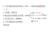 中考生物复习八年级下册综合测试卷课件