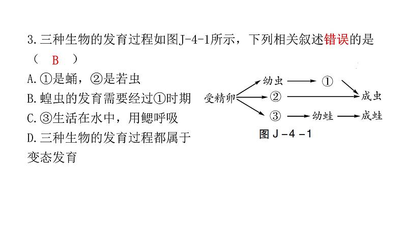 中考生物复习八年级下册综合测试卷课件第3页