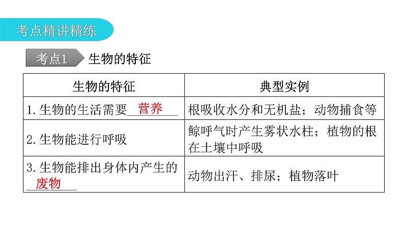 中考生物复习第一单元生物和生物圈第一章认识生物课件05