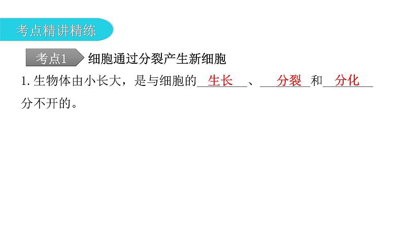 中考生物复习第二单元生物体的结构层次第二章细胞怎样构成生物体课件08