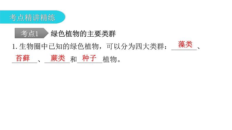 中考生物复习第三单元生物圈中的绿色植物第一章生物圈中有哪些绿色植物课件07