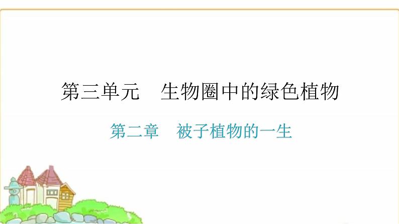 中考生物复习第三单元生物圈中的绿色植物第二章被子植物的一生课件01