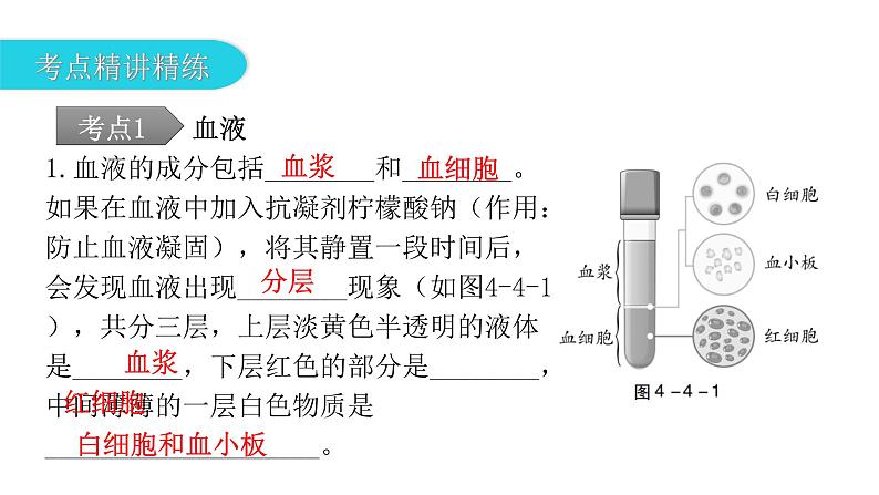 中考生物复习第四单元生物圈中的人第四章人体内物质的运输课件08