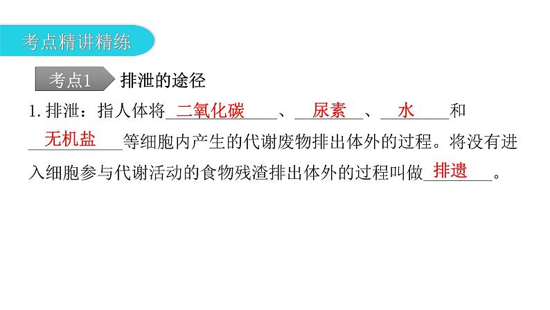 中考生物复习第四单元生物圈中的人第五章人体内废物的排出课件第7页