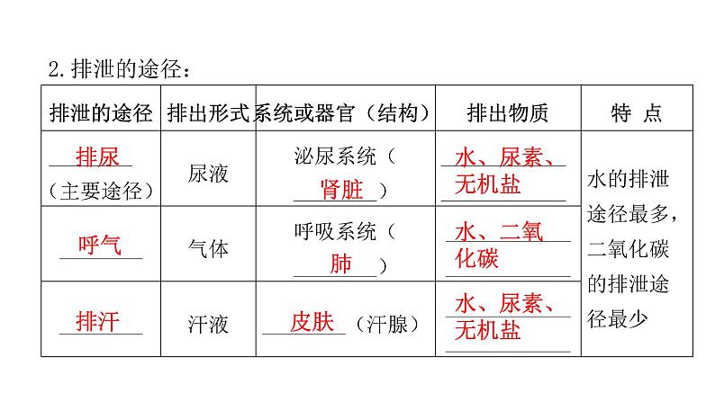 中考生物复习第四单元生物圈中的人第五章人体内废物的排出课件第8页