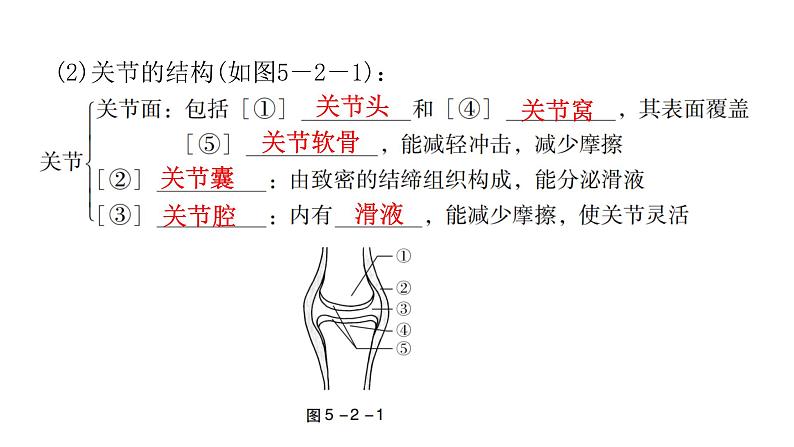 中考生物复习第五单元生物圈中的其他生物第二章动物的运动和行为第三章动物在生物圈中的作用课件08