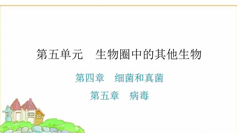 中考生物复习第五单元生物圈中的其他生物第四章细菌和真菌第五章病毒课件第1页