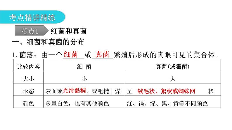 中考生物复习第五单元生物圈中的其他生物第四章细菌和真菌第五章病毒课件第7页