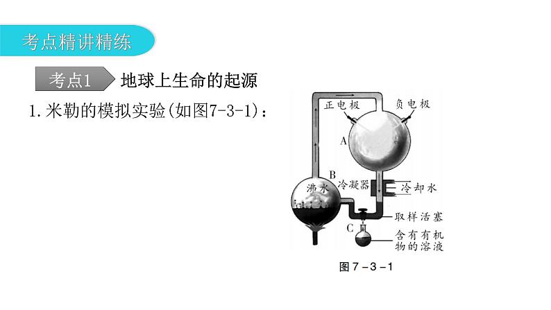 中考生物复习第七单元生物圈中生命的延续和发展第三章生命起源和生物进化课件第8页