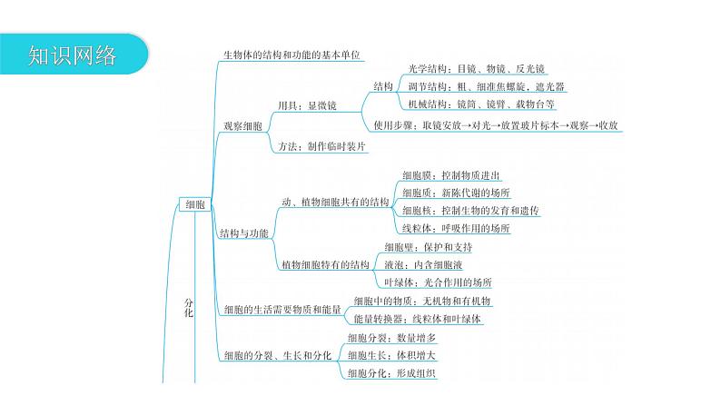 中考生物复习专题二生物体的结构层次课件03