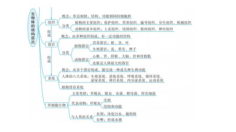 中考生物复习专题二生物体的结构层次课件04