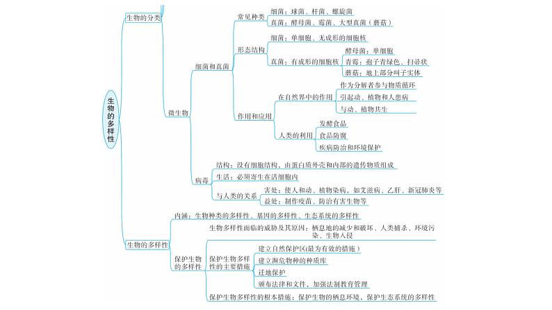 中考生物复习专题三生物的多样性课件04