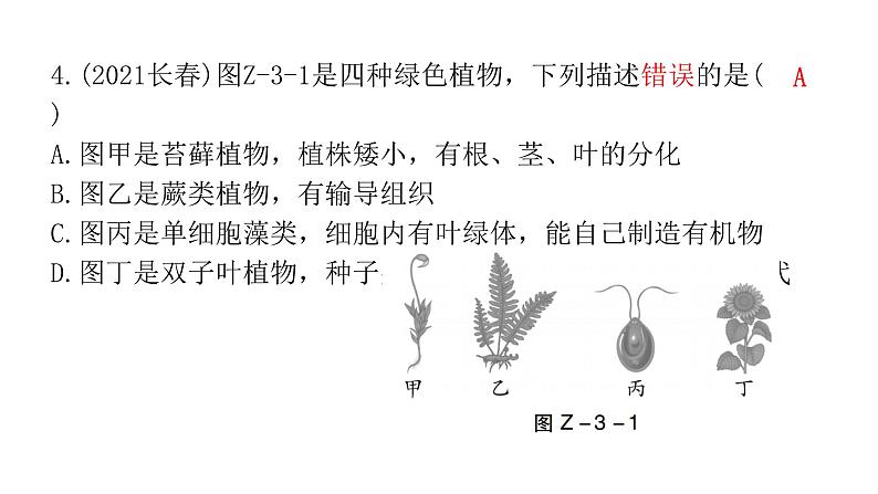 中考生物复习专题三生物的多样性课件08