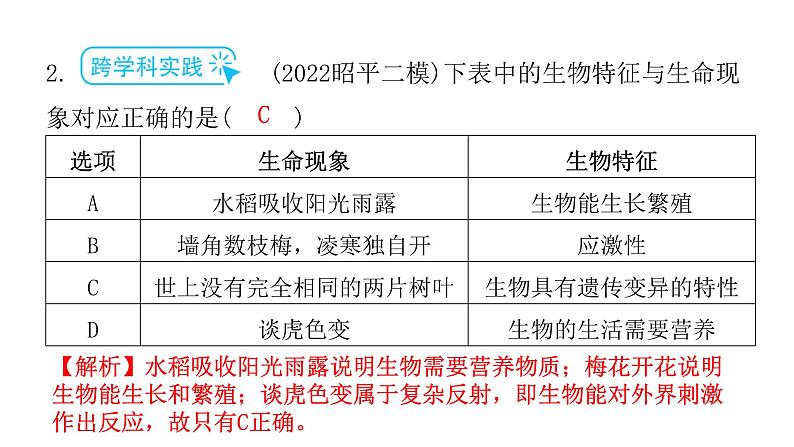 中考生物复习专题四生物与环境课件第6页