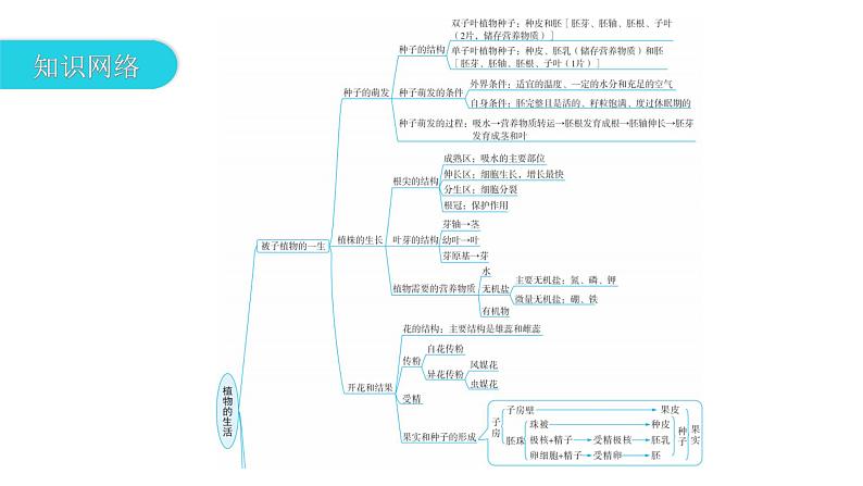 中考生物复习专题五植物的生活课件03