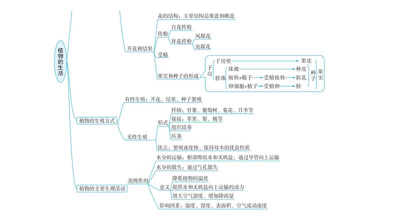 中考生物复习专题五植物的生活课件04