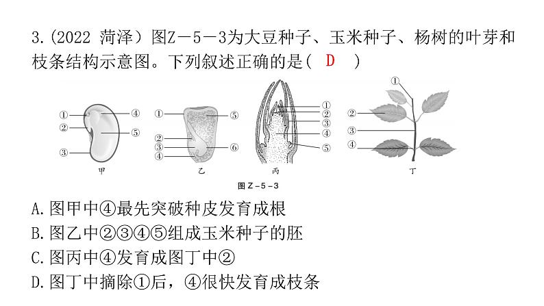 中考生物复习专题五植物的生活课件08