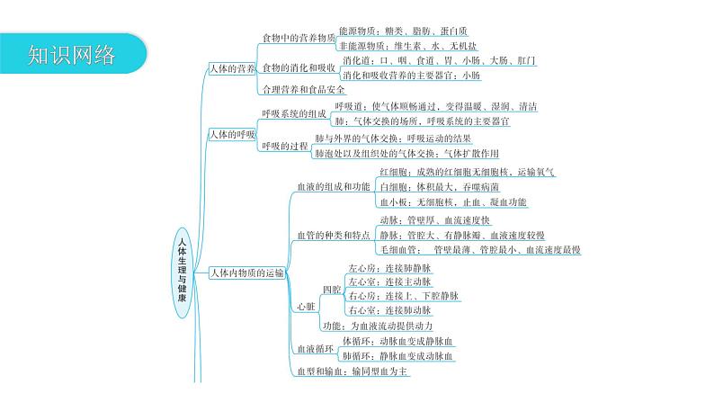 中考生物复习专题六人体生理与健康课件03