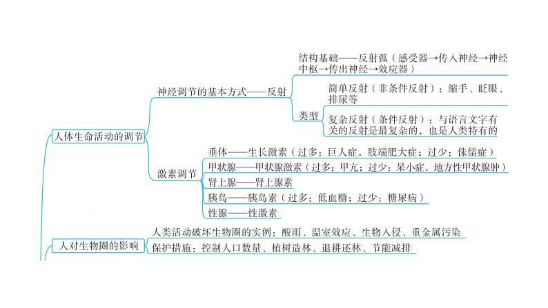 中考生物复习专题六人体生理与健康课件05