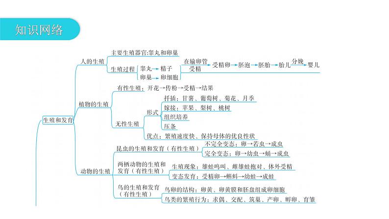 中考生物复习专题七遗传与进化课件第3页