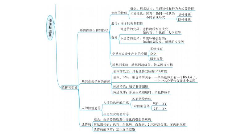 中考生物复习专题七遗传与进化课件第4页