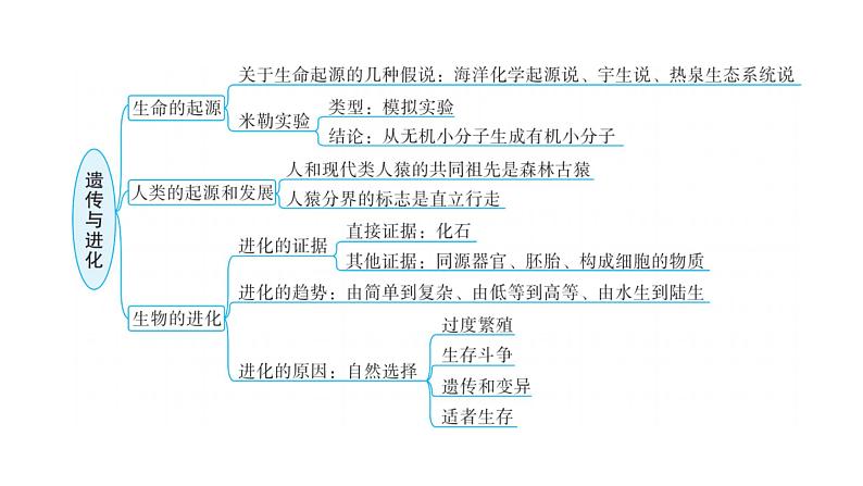 中考生物复习专题七遗传与进化课件第5页