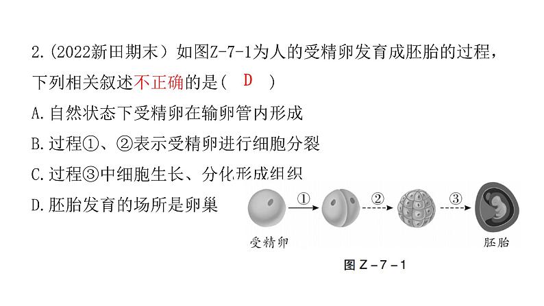 中考生物复习专题七遗传与进化课件第7页