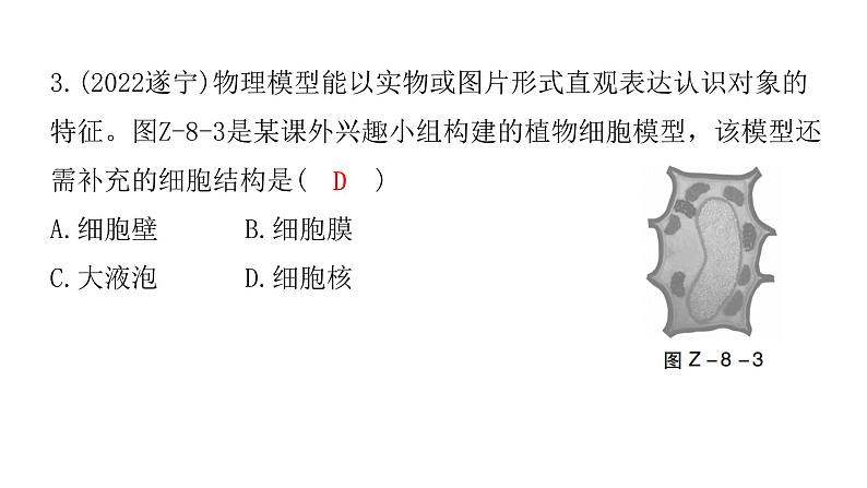 中考生物复习专题八生物学与社会·跨学科实践课件第7页