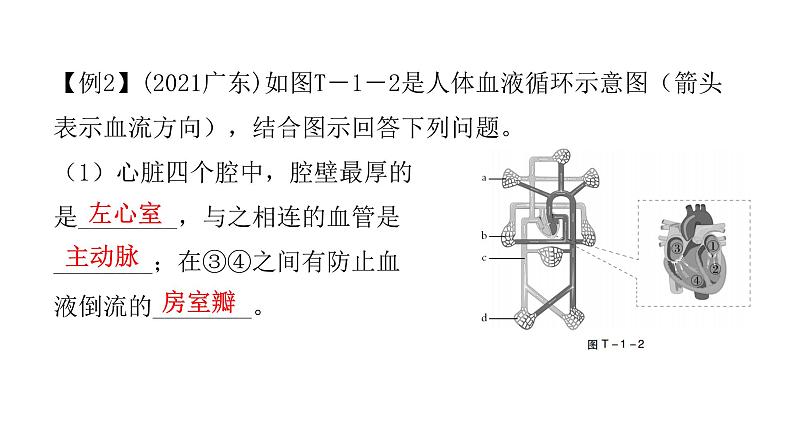 中考生物复习题型突破一读图理解课件第8页