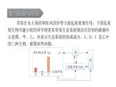 中考生物复习第一单元生物和生物圈课件