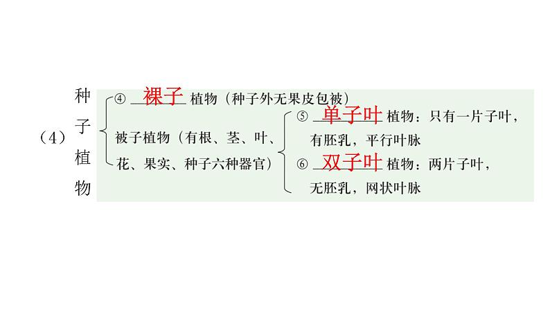 中考生物复习第三单元生物圈中的绿色植物第一章生物圈中有哪些绿色植物课件03