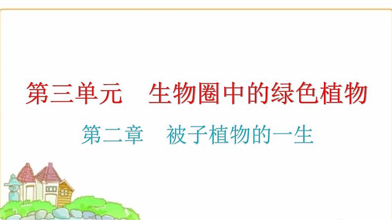 中考生物复习第三单元生物圈中的绿色植物第二章被子植物的一生课件01