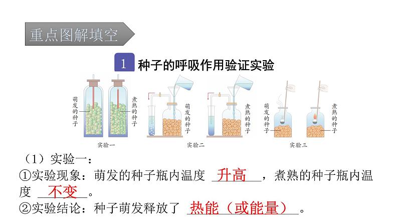 中考生物复习第三单元生物圈中的绿色植物第五章绿色植物与生物圈中的碳—氧平衡课件02