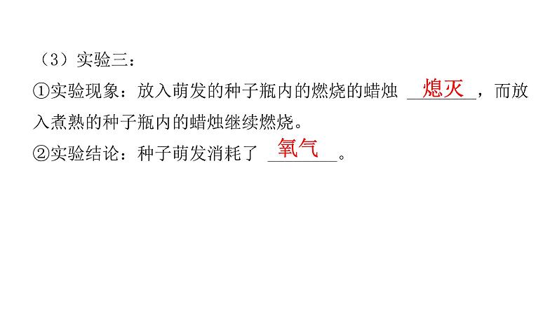 中考生物复习第三单元生物圈中的绿色植物第五章绿色植物与生物圈中的碳—氧平衡课件04