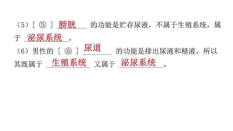 中考生物复习第四单元生物圈中的人第一章人的由来课件第4页