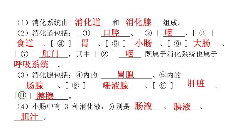 中考生物复习第四单元生物圈中的人第二章人体的营养课件第3页