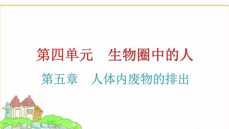 中考生物复习第四单元生物圈中的人第五章人体内废物的排出课件第1页