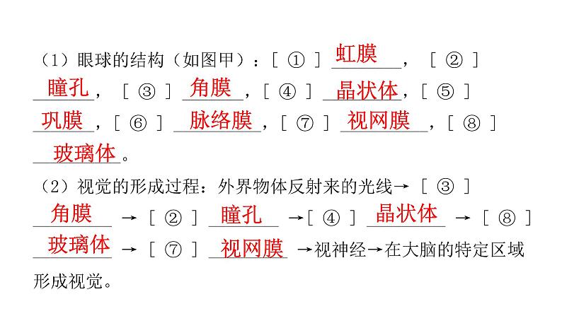 中考生物复习第四单元生物圈中的人第六章人体生命活动的调节课件03