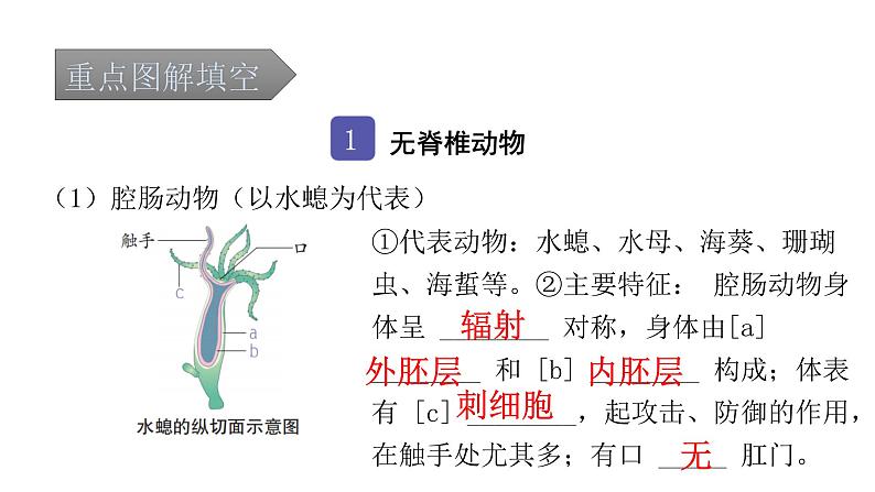 中考生物复习第五单元生物圈中的其他生物第一章动物的主要类群课件02