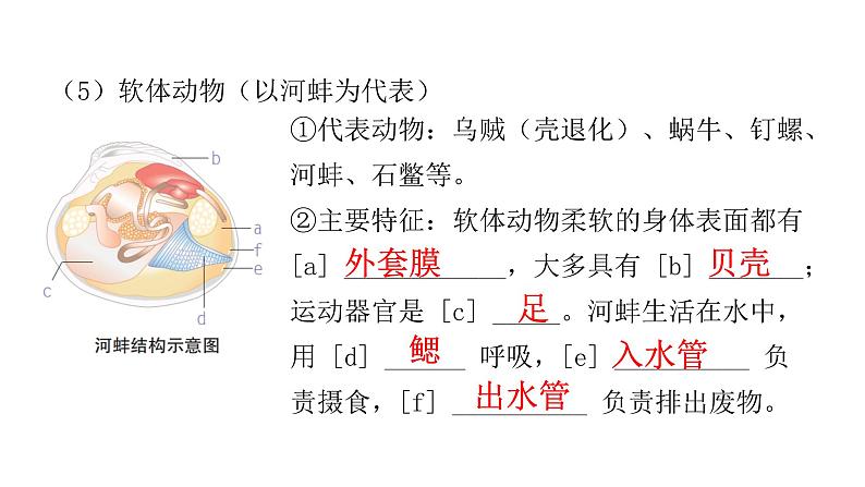 中考生物复习第五单元生物圈中的其他生物第一章动物的主要类群课件06