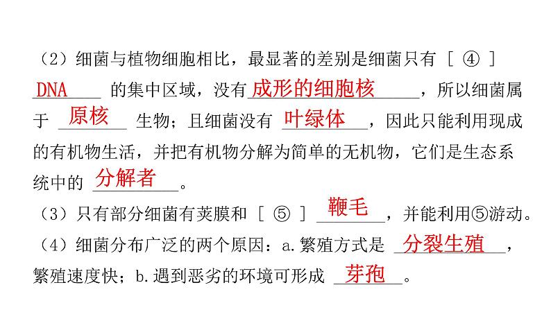 中考生物复习第五单元生物圈中的其他生物第四章细菌和真菌课件03