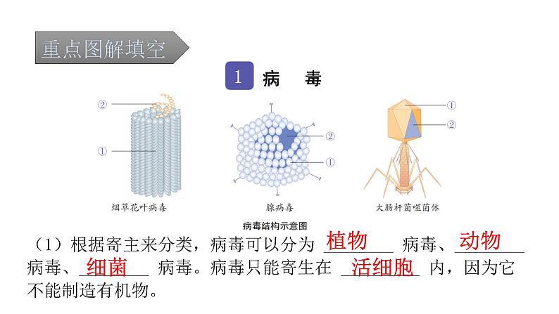 中考生物复习第五单元生物圈中的其他生物第五章病毒课件02