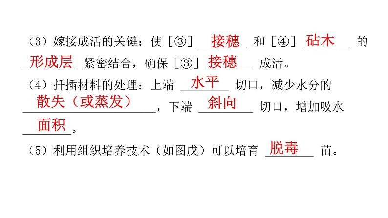 中考生物复习第七单元生物圈中生命的延续和发展第一章生物的生殖和发育课件04