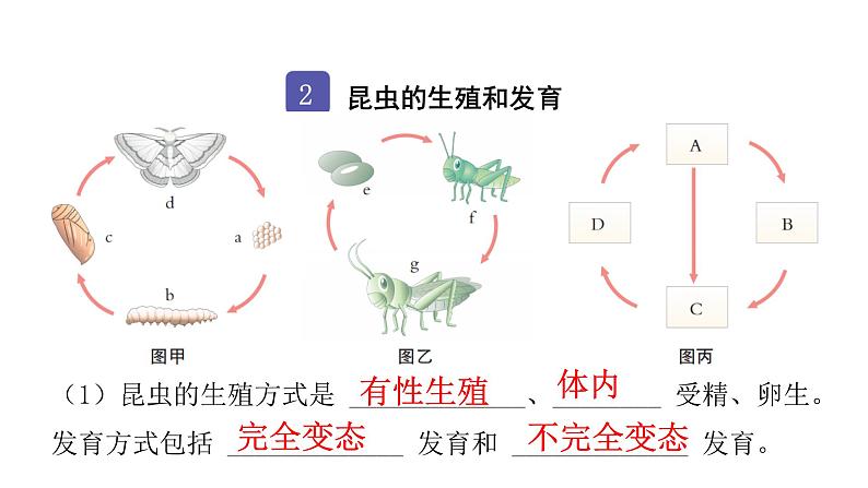 中考生物复习第七单元生物圈中生命的延续和发展第一章生物的生殖和发育课件05