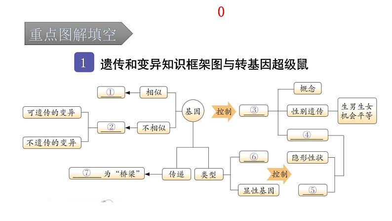 中考生物复习第七单元生物圈中生命的延续和发展第二章生物的遗传与变异课件第2页